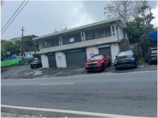 Galeria