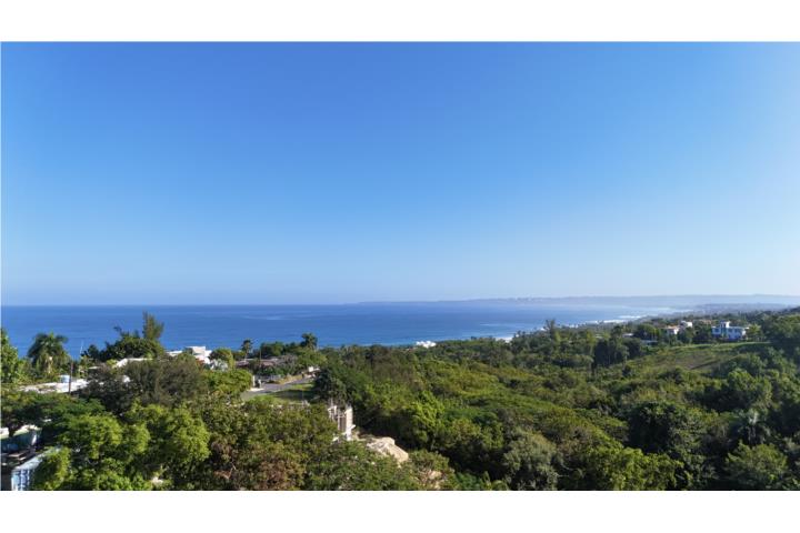 Puntas Puerto Rico Rincón