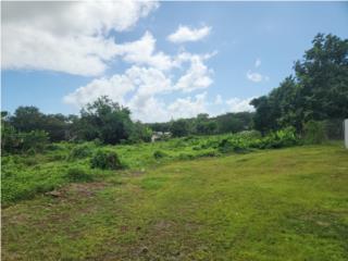 Solar En Buena Vista Humacao (1,327 p2)