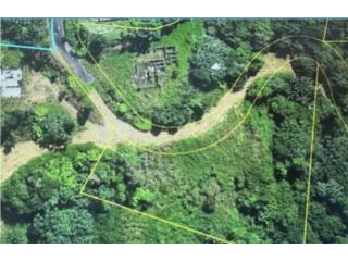 Vista Sur Plantation  SOLAR EXCLUSIVO!