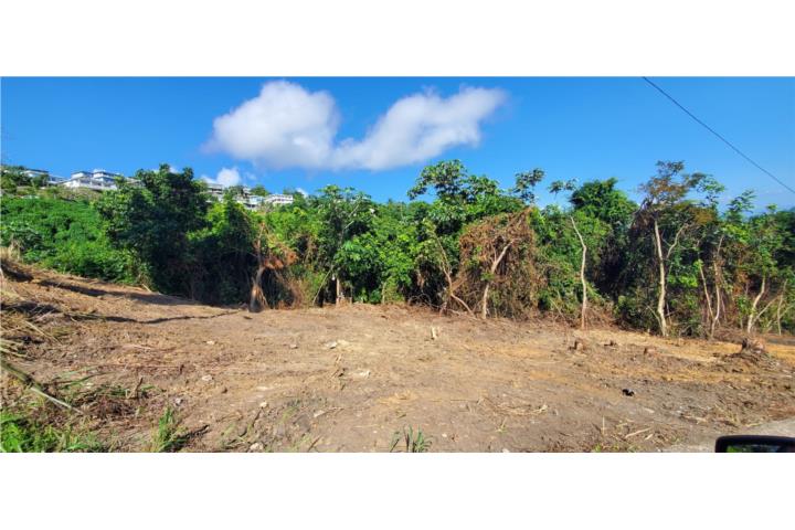 5 cuerdas para desarrollar el proyecto de tus sueños.