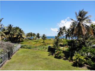 Beachfront Lot in Las Picuas