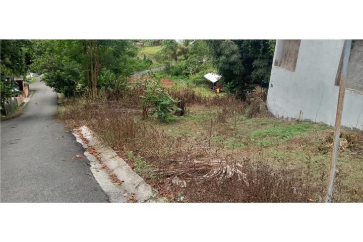 Carr. 435 Comunidad Perchas II, Calle Zafiro