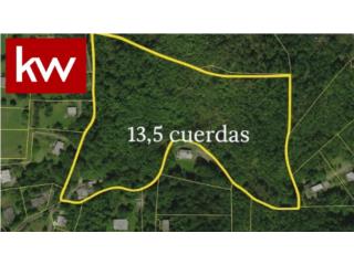 BO. ALMIRANTE SUR, TERRENO EN VEGA BAJA