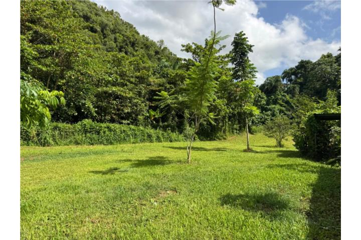 Hermoso y amplio solar de 13 cuerdas con área de zonificación CR (Conservación de Recursos) áreas ll