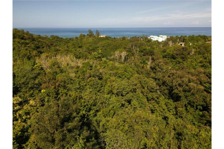 Build your dream home or investment property on this exceptional 2738.