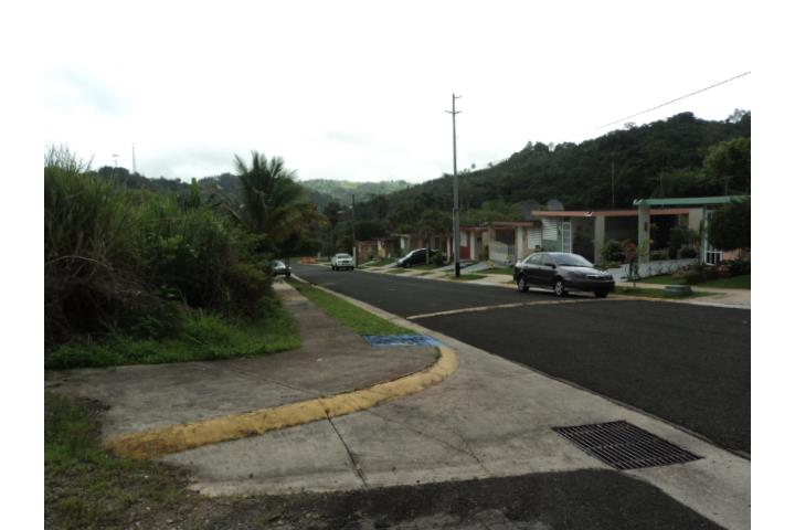 Helechal Puerto Rico Barranquitas