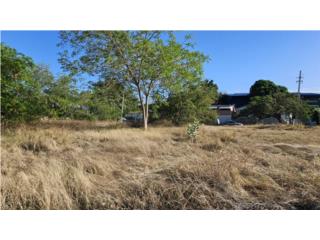 Las Americas Lot -1acre, Ponce