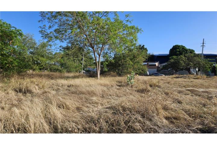 Constancia Puerto Rico Ponce