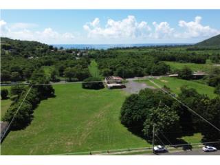 Carretera 901 km 3.1 Bo. Emajaguas, Maunabo
