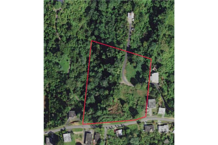 Terreno en venta ubicado en el Barrio Calabazas de San Sebastián, Puerto Rico, específicamente en la Carr.