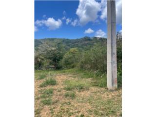 Villa Borinquen