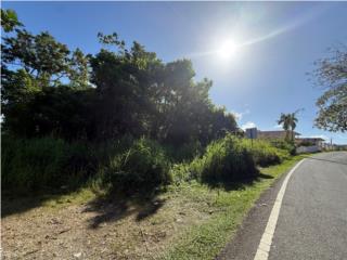 Sector Monte Bello, Manat�