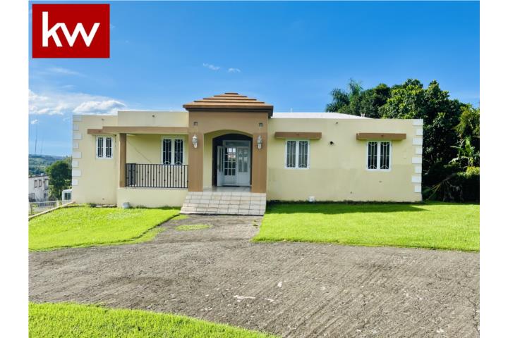 Pozas Puerto Rico San Sebastián