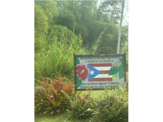 PR 945, Masas Ward 