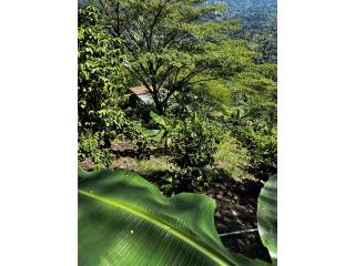 ***FINCA AGRÃCOLA ***