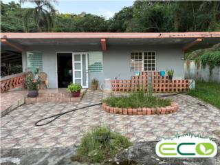 Bo. Junquito - CASA GRANDE
