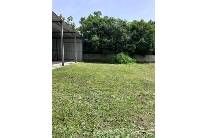 Solar de 800 metros cuadrados con Hangar con techos de 16 pies de altura.