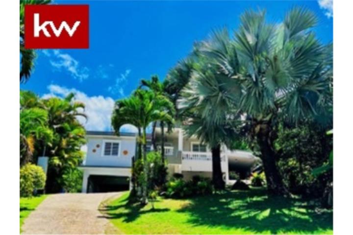 Pasto Puerto Rico Aibonito