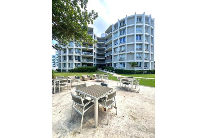 Pine Carolina - Isla Verde