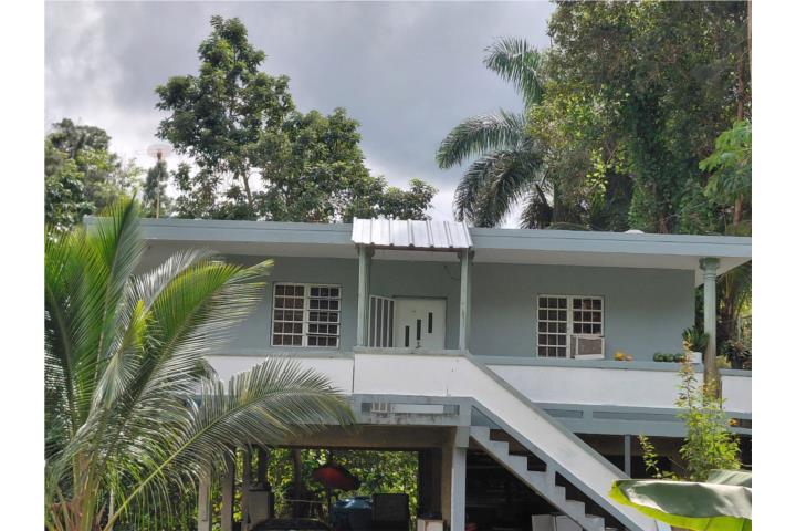 Callejones Puerto Rico Lares
