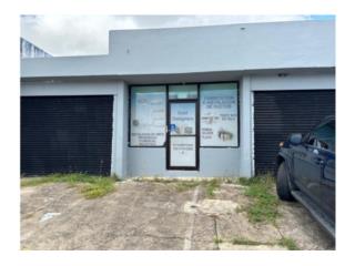 Galeria