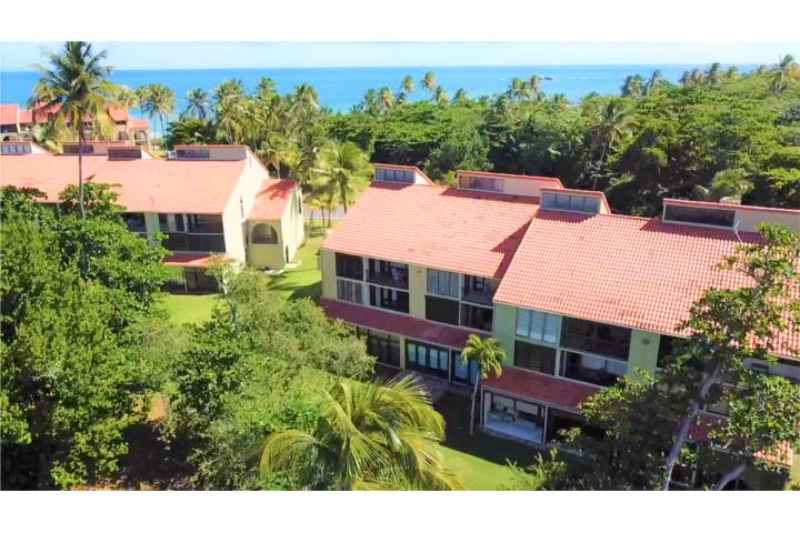 Beach Humacao - Palmas