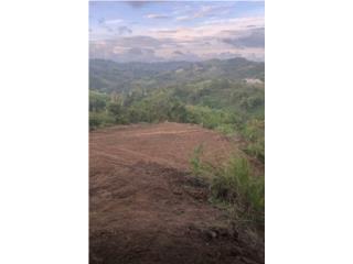 20 CUERDAS EN UN TESORO NATURAL COROZAL 