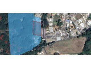 PROPIEDAD 1,534m2 PR-119 MEMBRILLO CAMUY