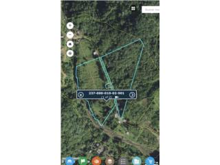 Con �reas planas sembradas lindante rio