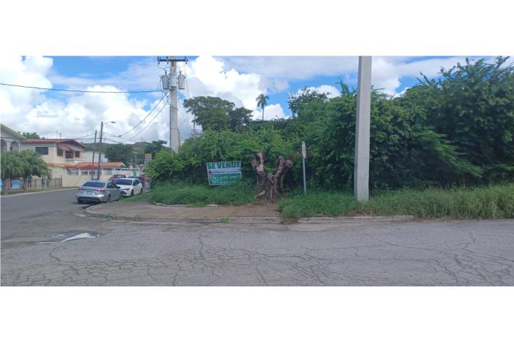 Sabanetas Puerto Rico Ponce