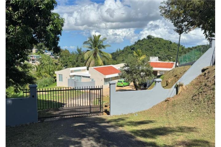 Lomas Puerto Rico Naranjito