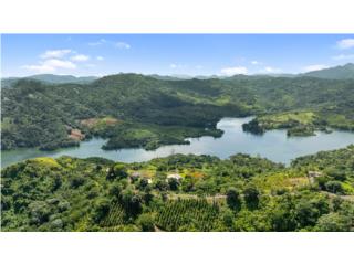 Lake Guayo View Hacienda - Coffee Plantation