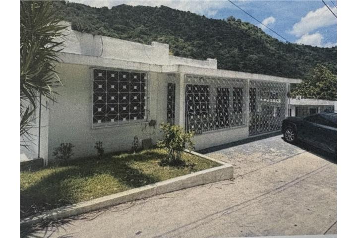 Anones Puerto Rico Naranjito