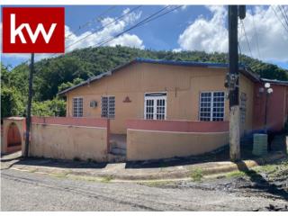 BO. OLIMPO, CASA EN GUAYAMA