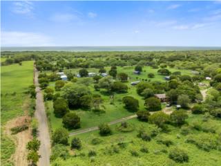 Nature, privacy, and potential � all in one 