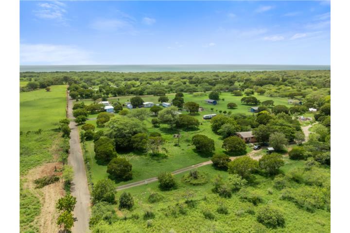 Pitahaya Puerto Rico Cabo Rojo