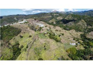 Finca Hnos. Fabre dedicada a ganader�a 