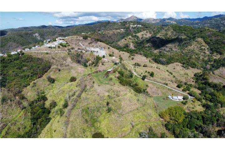 Hermosa finca de 272 cdas.