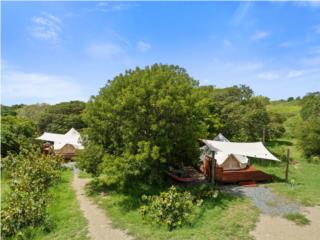 all in one investment- Gampling and Land