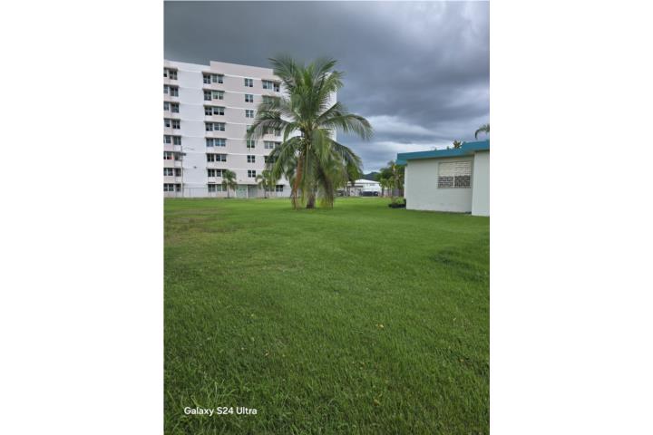 Infanteria Puerto Rico Añasco