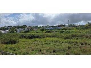 Puerto Rico - Bienes Raices VentaInversi�n  Puerto Rico