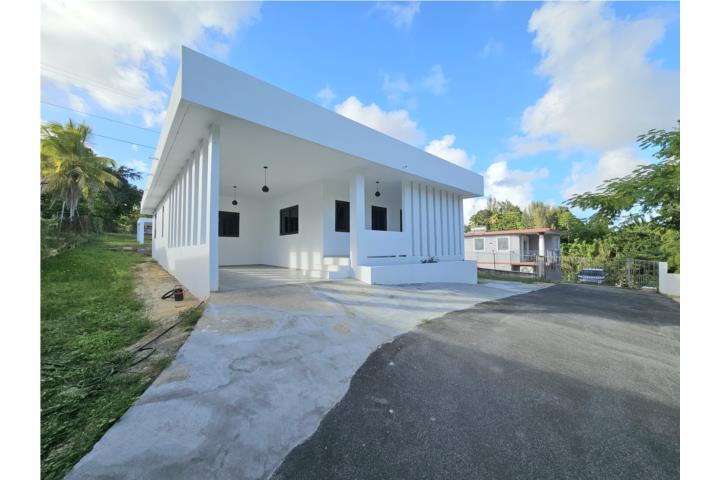 Luxury Remodeled Home on Massive Lot!