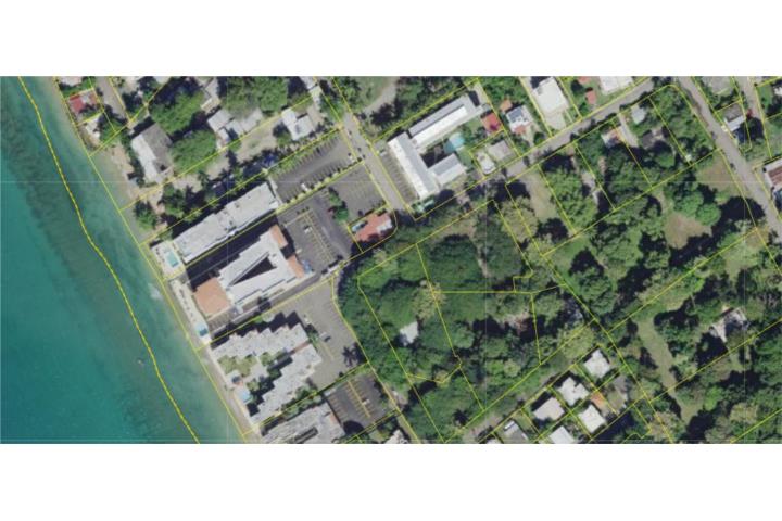 Corcega Puerto Rico Rincón