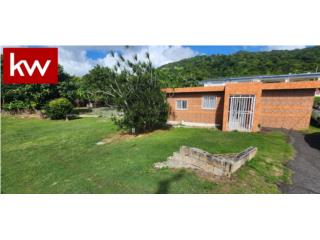 BO. EMAJAGUAS, CASA EN MAUNABO