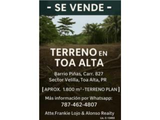 Terreno en Toa Alta - LLANO!
