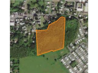 Se Vende Finca de 12 Cuerdas en Aguadilla