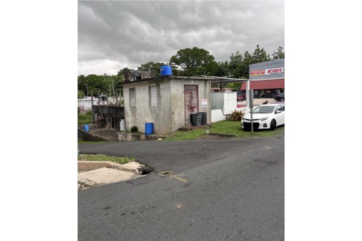 Padilla Puerto Rico Corozal