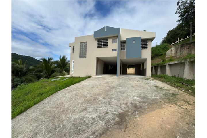 Collores Puerto Rico