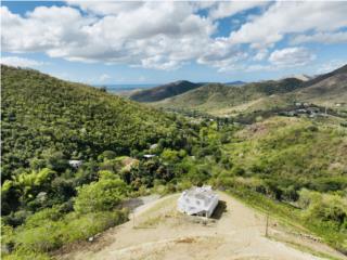 Bienes Raices Salinas Puerto Rico